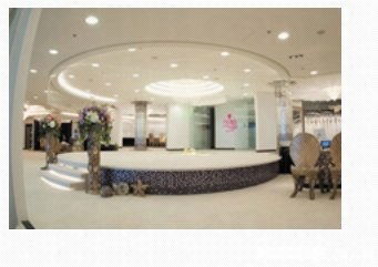 芝柏一站式服務(wù) 婚紗攝影、新娘化妝與禮服租賃，記錄您的完美瞬間